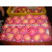 138-198 18kg fresh yantai fuji apple